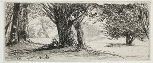 Het Hulstveld door Francis Seymour Haden