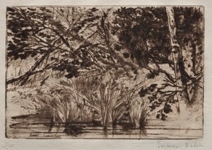 De Mond van een Beek Tweede Plaat door Francis Seymour Haden