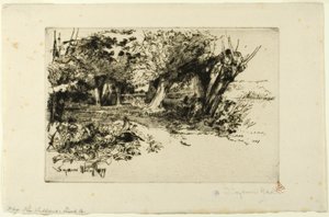 De Wilgen door Francis Seymour Haden