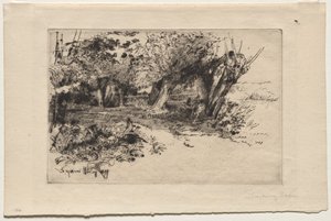De Wilgen