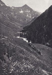 Oostelijke Alpen: In de Windach Tal