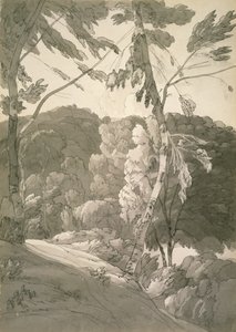 Nr.1091 Een Bebost Landschap (Een Scène bij Indinowle) 1783 door Francis Towne