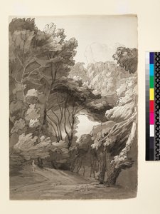 Een Bebost Landschap