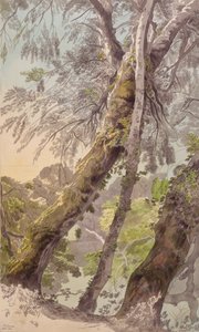 Bomen Overhangend Water door Francis Towne