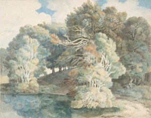 Bomen bij het Meer, Peamore Park, nabij Exeter, Devon, 1790-1810 door Francis Towne