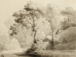 Bosrijk landschap