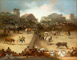 Stierengevecht in een verdeeld ring