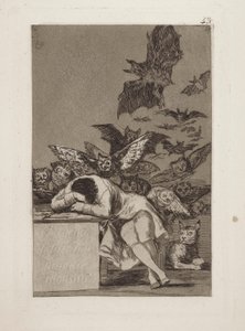De slaap van de rede produceert monsters, pl. 43 uit de serie Los caprichos door Francisco de Goya