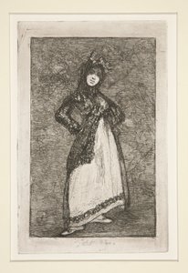 Maja [met een donkere achtergrond] door Francisco de Goya