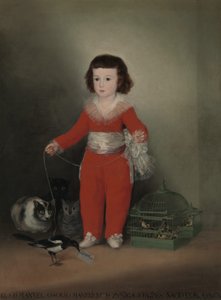 Manuel Osorio Manrique de Zuñiga door Francisco de Goya