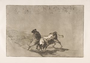 Blad 14 uit de Tauromaquia: De zeer bekwame leerling van Falces, gewikkeld in zijn cape..., 1816 door Francisco de Goya
