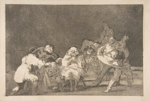 Plaat 17 uit de 