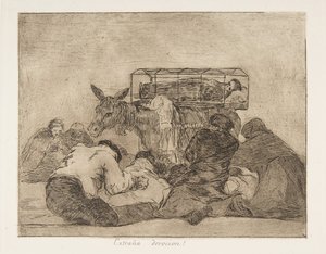 Plaat 66 uit De rampen van de oorlog, na 1814-15 gepubliceerd 1863 door Francisco de Goya