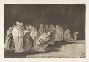 Plate 8 uit de 
