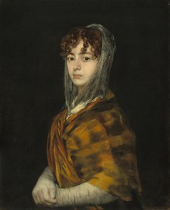 Señora Sabasa Garcia door Francisco de Goya