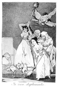 Daar gaan ze, geplukt door Francisco de Goya