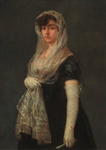 Jonge dame met een mantilla en basquina