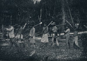 Indios Guaranys, terugkerend van een jacht, 1895 door Francisco Henszler