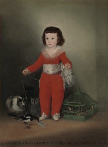 Don Manuel Osorio Manrique de Zuniga (1784-92) door Francisco de Goya