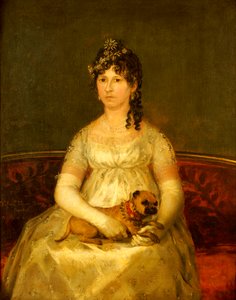 Portret van Dona Francisca Vicenta Chollet y Caballero, zittend, driekwart lengte, met een schoothondje, 1806
