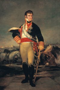 Portret van Ferdinand VII