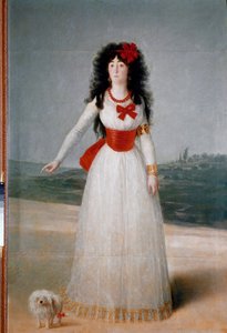 Portret van de Hertogin van Alba (Maria Teresa Cayetana de Silva) door Francisco de Goya