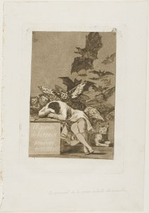 De Slaap van de Rede Brengt Monsters Voort, plaat 43 uit Los Caprichos door Francisco Jose de Goya y Lucientes