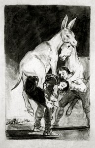 Gij die niet kunt (Tu que no puedes) door Francisco de Goya