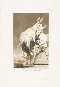 Gij die niet kunt, plaat 42 uit Los Caprichos door Francisco Jose de Goya y Lucientes