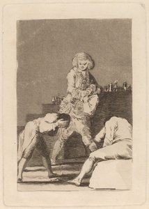 Aan de Paltsgraaf