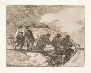 Ze weten niet waarheen (70) door Francisco de Goya