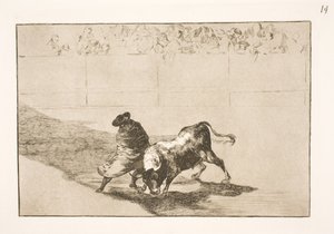 De zeer getalenteerde leerling uit Falces, gehuld in zijn mantel, misleidt de stier met zijn lichaamsbewegingen