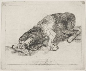 Een wild monster (81) door Francisco de Goya