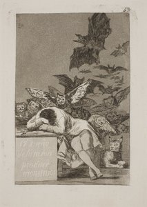 De slaap van de rede brengt monsters voort