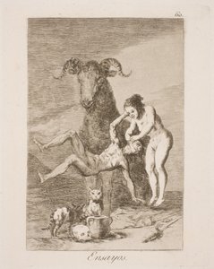 Experiment door Francisco de Goya