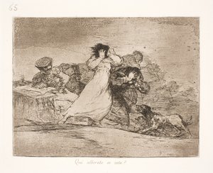 Wat betekent deze verwarring? (65) door Francisco de Goya
