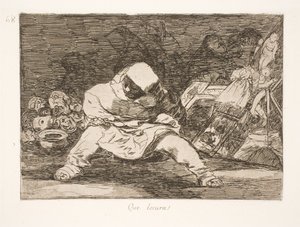 Welke waanzin! (68) door Francisco de Goya