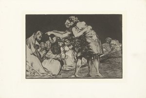 Ongeordende dwaasheid (De dwaasheden) (De spreekwoorden) (series title)