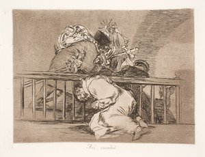 Zo is het gebeurd (47) door Francisco de Goya