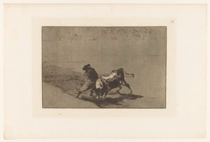 Stierenvechter in een arena