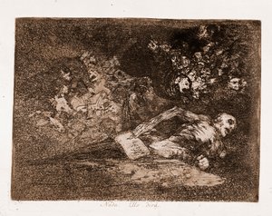 De rampen van de oorlog: Niets, dat is wat hij zal zeggen door Francisco de Goya