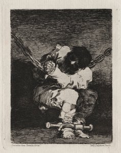 De kleine gevangene