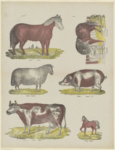 Dieren