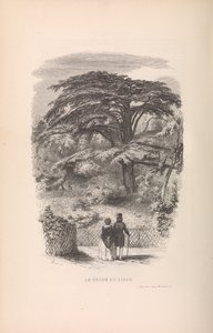 Le Jardin des Plantes, Beschrijvingen en gewoonten van de zoogdieren, 1842 door Francois Boitard