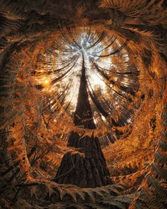  door Francois Casanova