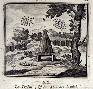 Horzel en Honingbijen door Francois Chauveau