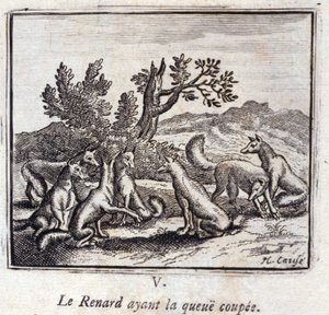 Illustratie uit de 