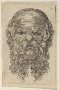 Masker van een Kale Man met Puntige Oren en een Lange, Gespleten Baard, uit Divers Masques