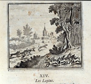 Konijnen. Fabels door Jean de La Fontaine (1621-95). Illustratie door François Chauveau (1613-1676). Editie van 1728. door Francois Chauveau