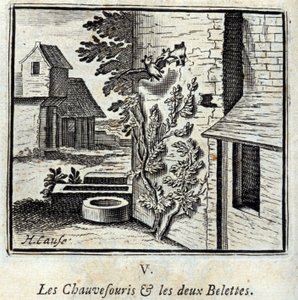 De Vleermuis en de twee Wezels. Fabels van Jean de La Fontaine. Illustratie door François Chauveau. Editie van 1728. door Francois Chauveau